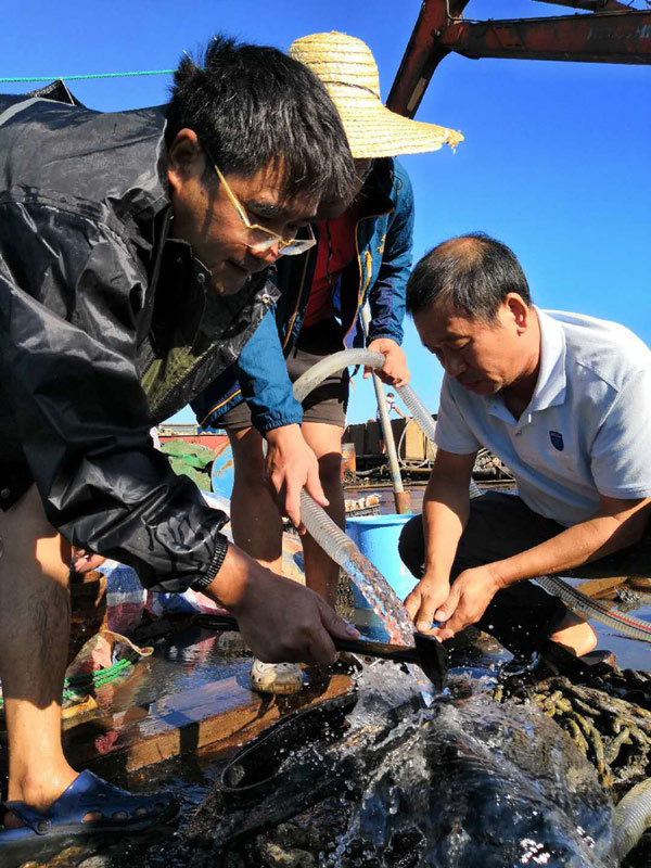 辽宁大连庄河海域发现刺激电脑版辅助甲午海战沉舰“经远舰”